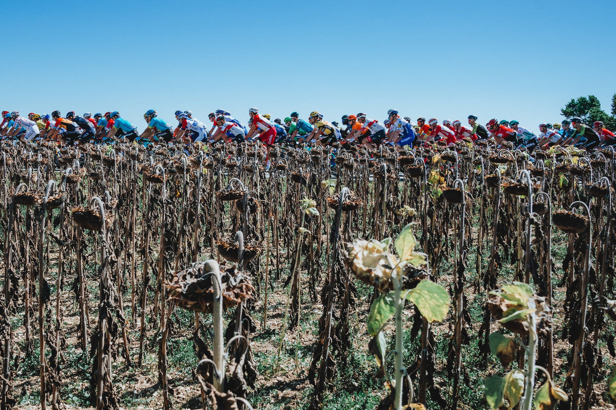 Editor's Introduction- Ned Boulting– The Road Book